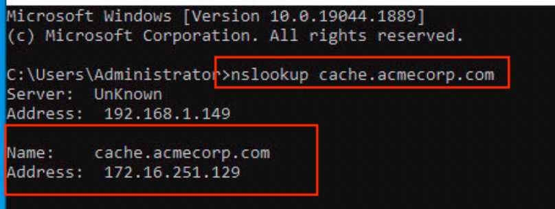 Using a Custom Cache Server for Workspace ONE Dropship Online ...