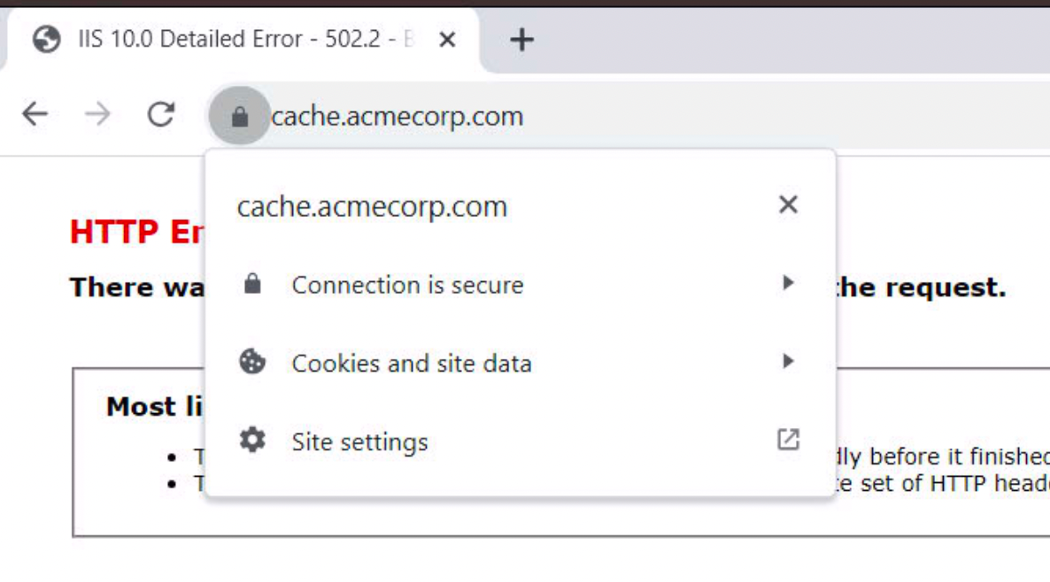 Using a Custom Cache Server for Workspace ONE Dropship Online ...