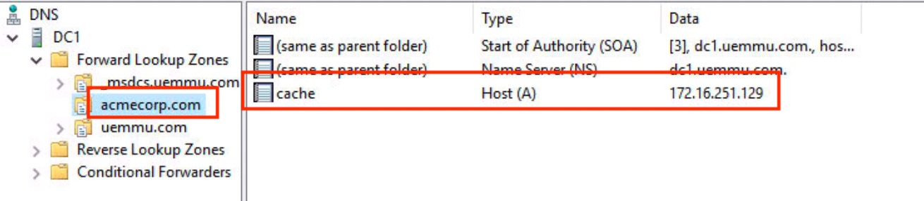 Using a Custom Cache Server for Workspace ONE Dropship Online ...